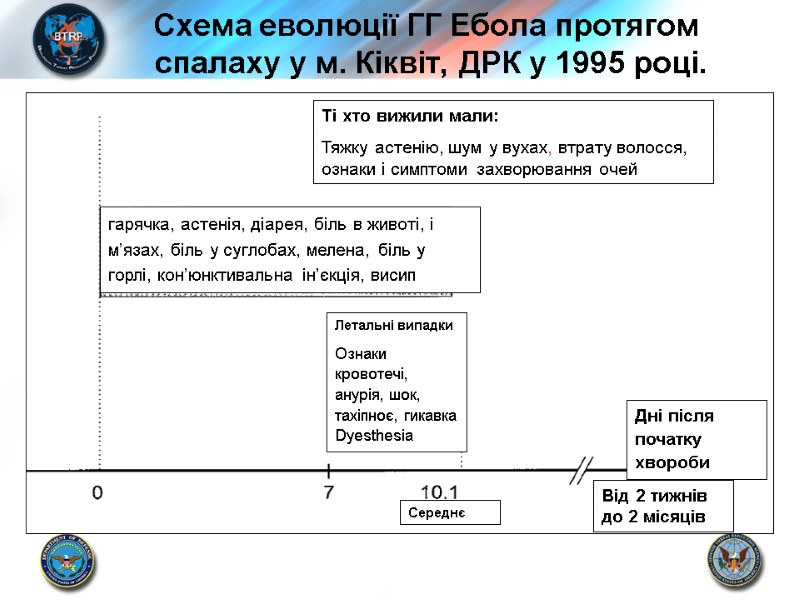 Схема еволюції ГГ Ебола протягом  спалаху у м. Кіквіт, ДРК у 1995 році.